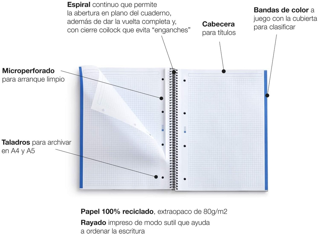 Cuaderno espiral 5X5 A4 80g 80h 2T T/D Ecobutterfly MR