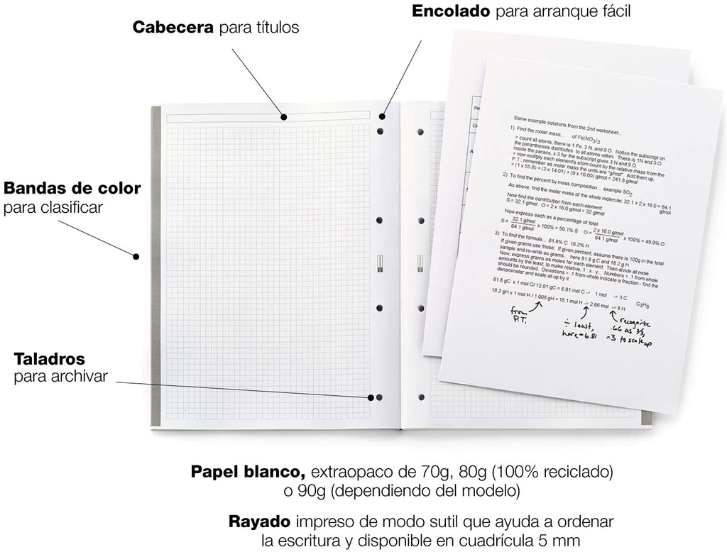 Recambio 5x5 A4 90gr 100h 4t 5b intensos mr